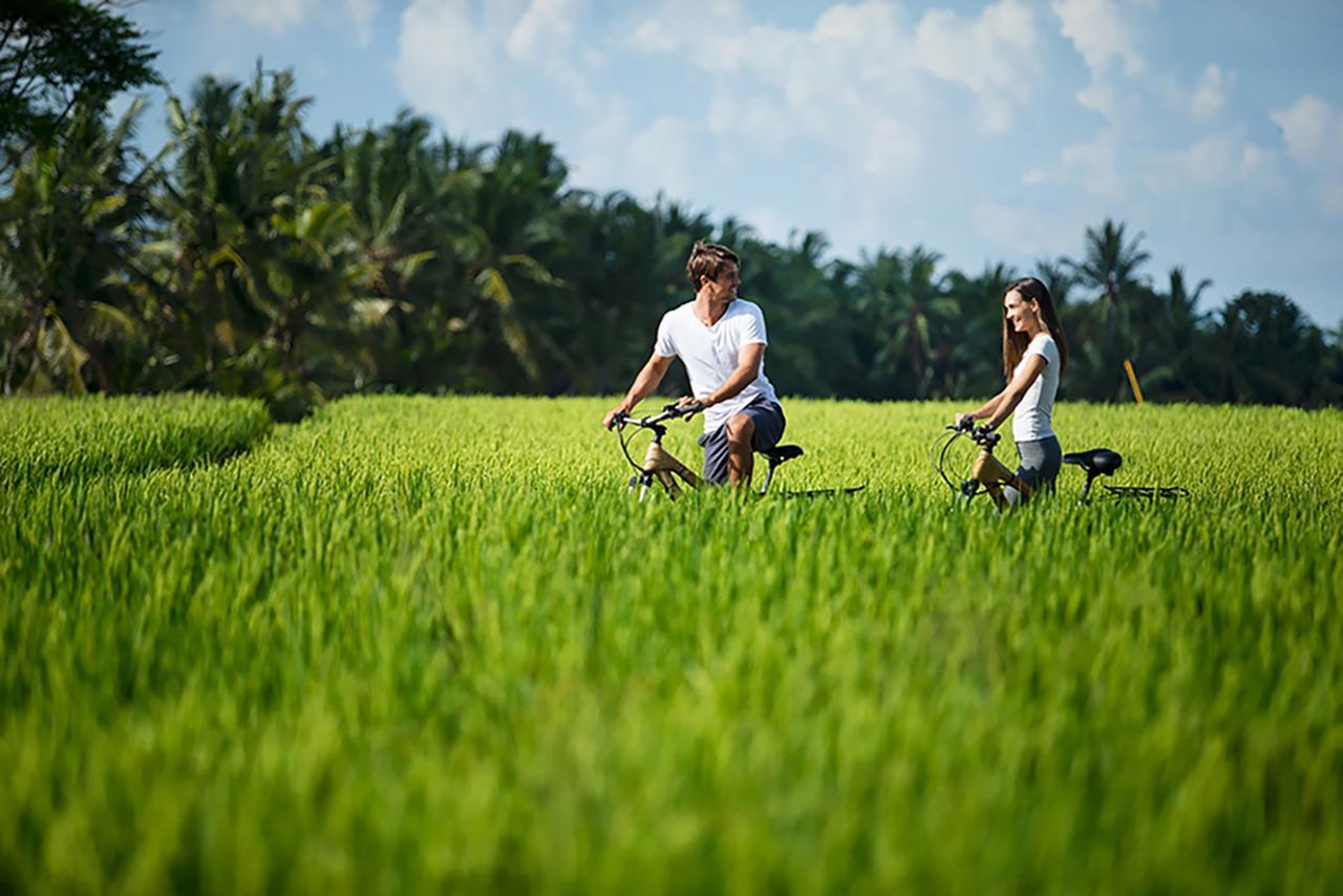 Tanah Gajah, A Resort By Hadiprana Ubud  Exterior photo